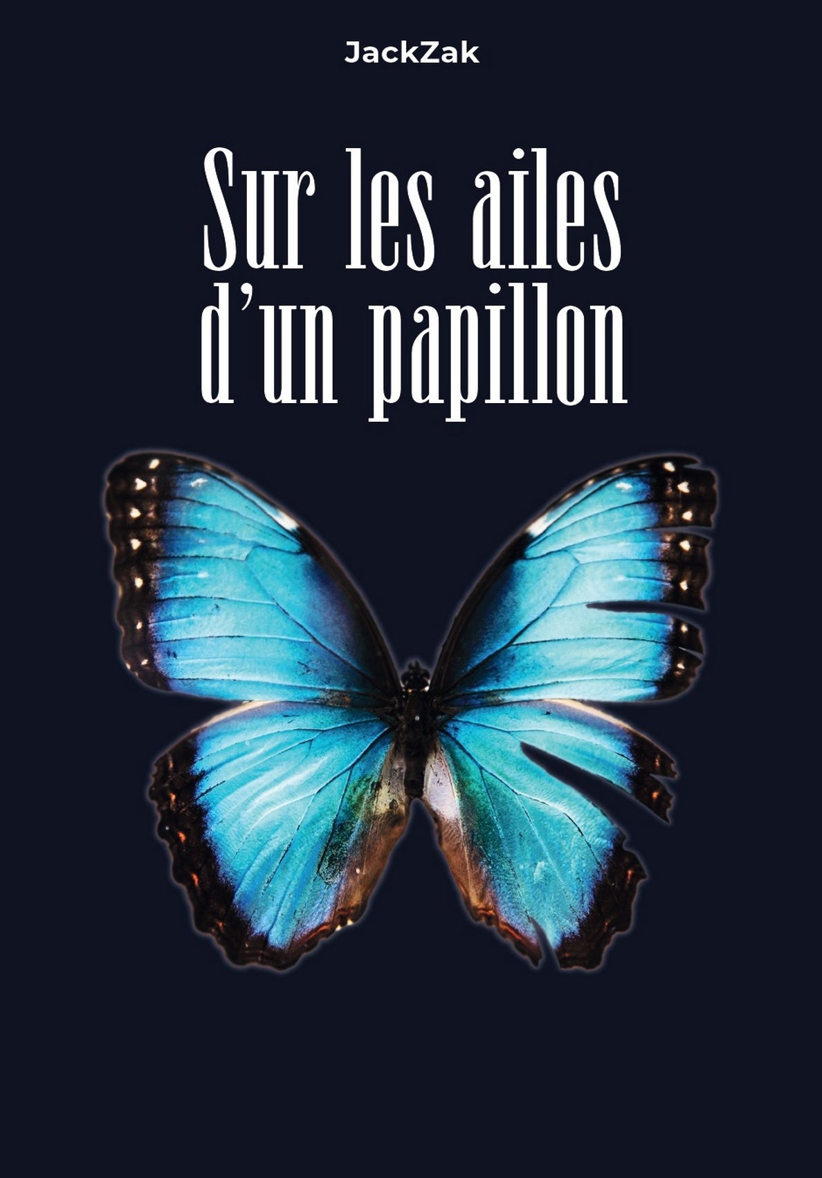 Sur les ailes d'un papillon